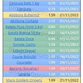 01 Promoções-Descontos-46661.jpg